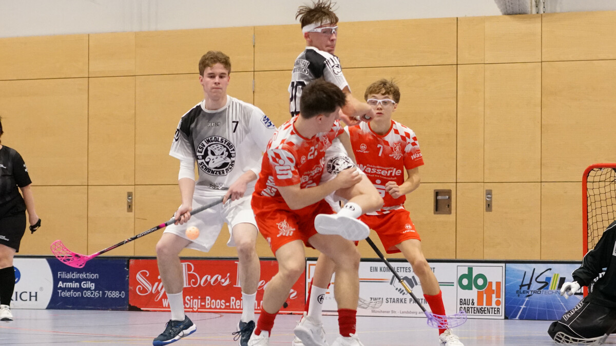 „Viele hitzige Zweikämpfe“ erwarten die Red Hocks auch wieder am kommenden Samstag beim Bayern-Derby in Ingolstadt. (Foto: Finkenzeller)