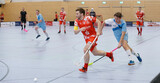 Im vergangenen Jahr sicherten sich Kapitän Marco Tobisch und die zweite Mannschaft der Red Hocks gegen die United Lakers Konstanz den Süddeutschen Titel. An diesem Wochenende geht es in München erneut um Meisterehren. (Foto: Finkenzeller)